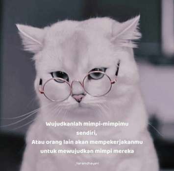 Foto profil Lalu Nizom